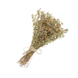 mieta-suszona-herbata-grecka-w-galazkach-tradycyjna-lisc-ziolo-25g