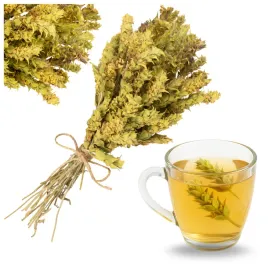 gojnik-grecki-herbata-gorska-ziele-galazki-50g-tradycyjn-sideritis-scardica