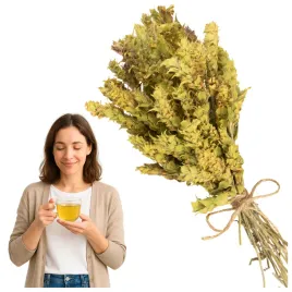 grecki-gojnik-herbata-gorska-ziele-aromatyczny-sideritis-jakosc-galazki-50g