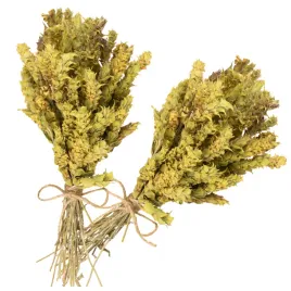 gojnik-grecki-herbata-gorska-ziele-tradycyjny-sideritis-do-parzenia-2x-50g