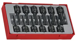 tengtools-zestaw-grotow-maszynowych-12szt-tt9212tx