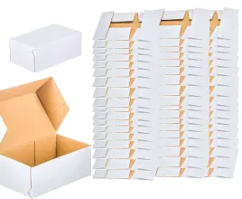 karton-fasonowy-250x200x80-paczkomat-a-200-sztuk
