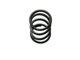 sprezyna-bizon-5060020290