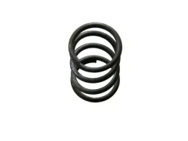 sprezyna-bizon-5060020290