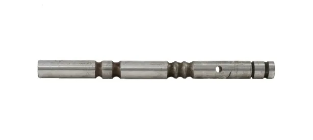 wodzik-bizon-5058740240