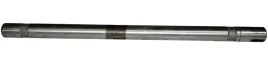bizon-walek-5058750190