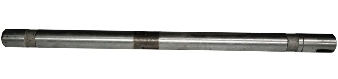 bizon-walek-5058750190