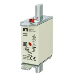 wkladka-topikowa-przemyslowa-zwloczna-kombi-nh000-gg-100a-500v-004181214
