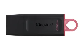 kingston-technology-datatraveler-exodia-pamiec-usb-256-gb-usb-typu-a-3-2