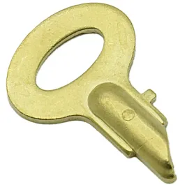 1x-klucz-kluczyk-72162639-allis-oliver-case