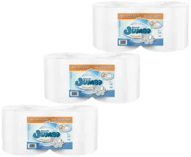 czysciwo-recznik-papierowy-650-listkow-professional-2w-150m-6-rolek