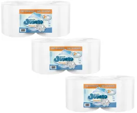 czysciwo-recznik-papierowy-professional-650-listkow-2-warstwy-150m-6-rolek