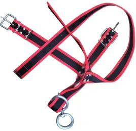 obroza-kantar-dla-byka-hajnowka-kb-5-podwojnie-szyty