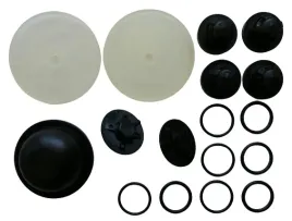 zestaw-naprawczy-pompy-p-120-biardzki-opryskiwacz