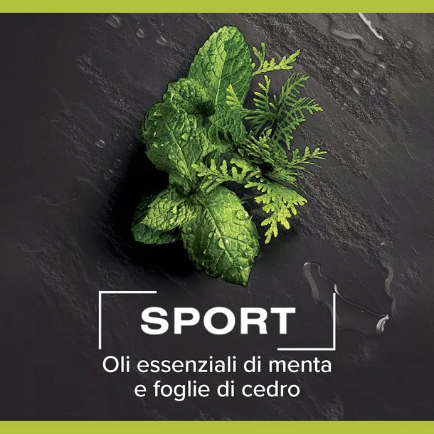 palmolive-men-sport-zel-pod-prysznic-3-w-1-cedr-i-mieta-220-ml-wlochy-przeznaczenie-prysznic