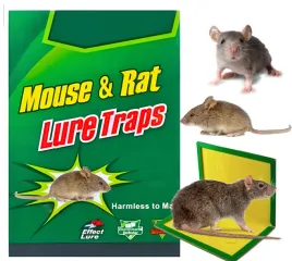 lep-pulapka-na-myszy-i-szczury-lepowa-mocny-klej-wabiacy-zapachem-24-x-17cm