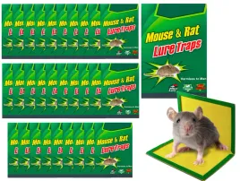 lep-na-gryzonie-myszy-szczury-mocny-klej-wabik-24-x-17cm-zestaw-30-szt