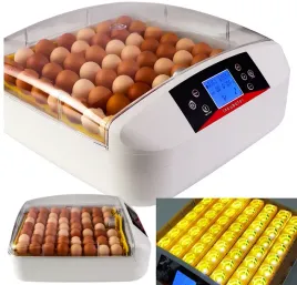 inkubator-klujnik-wylegarka-do-jaj-wylegu-drobiu-ptakow-56szt-termostat-led