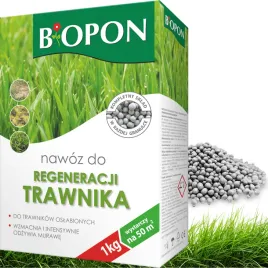 biopon-granulat-1kg-regeneracja-murawy-srodek-na-zniszczony-trawnik-bopon