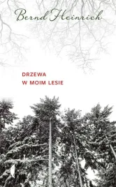 drzewa-w-moim-lesie