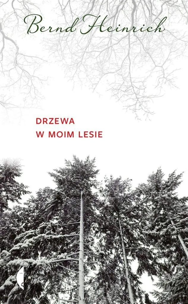 drzewa-w-moim-lesie