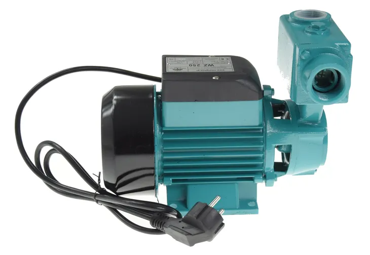 pompa-wz-250w-omnigena-rodzaj-pompy-powierzchniowa-maksymalna-wydajnosc-pompy-2100-l-h