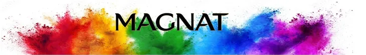 magnat-ceramic-perla-polnocy-c4-25l-rodzaj-scienna