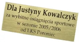 tabliczka-grawerowana-puchar-puchary-statuetka-rozmiar-do-25cm2