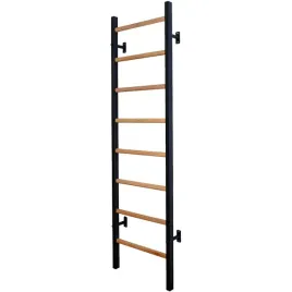 benchk-200b-drabinka-gimnastyczna-metalowe-profile-drewniane-szczeble