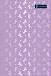 teczka-szkolna-a4-z-gumka-holographic-girls-astra