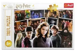 puzzle-160-harry-potter-i-przyjaciele-trefl