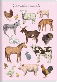 zeszyt-animals-a5-32-kartek-linia-rozne-wzory
