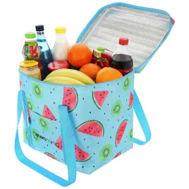 torba-termiczna-piknikowa-izolacyjna-na-jedzenie-lunch-piknik-28l-enero