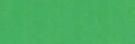 karton-szkolny-brystol-b1-25-arkuszy-270g-zielony-happy-color