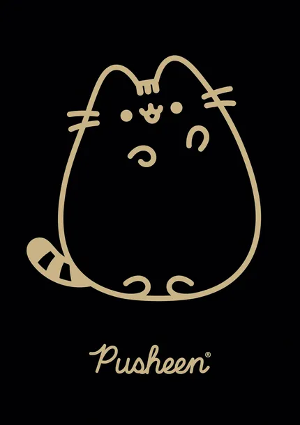 ZESZYT W KRATKĘ A5 60 KARTEK PUSHEEN GRUBY KOT RÓŻNE WZORY