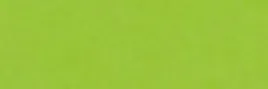 papier-ozdobny-karton-kolorowy-jasnozielony-happy-color-270-g-m-25-arkuszy