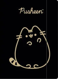 teczka-z-gumka-a4-szkolna-pusheen-kot-gold