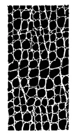 beton-architektoniczny-tynk-dekoracyjny-szablon-malarski-skora-weza-130-cm