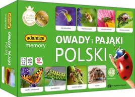 gra-pamieciowa-memory-owady-i-pajaki-polski-adamigo
