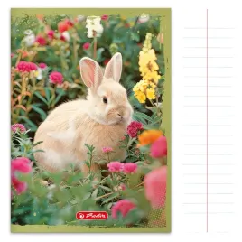 zeszyt-a5-32-kartki-linia-herlitz-animals-rozne-wzory-okladek