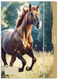 teczka-rysunkowa-a4-z-gumka-animals-zwierzeta-rozne-okladki-1-szt