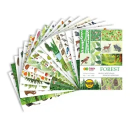 blok-z-motywami-a4-16-arkuszy-25-motywow-forest-happy-color