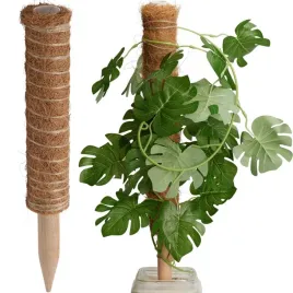 podpora-do-roslin-pnaczy-palik-wlokna-kokosowego-tyczka-50-cm-progarden