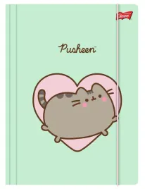 teczka-z-gumka-a4-kot-pusheen-mietowa