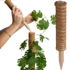 podpora-do-roslin-pnaczy-palik-wlokna-kokosowego-tyczka-30-cm-progarden