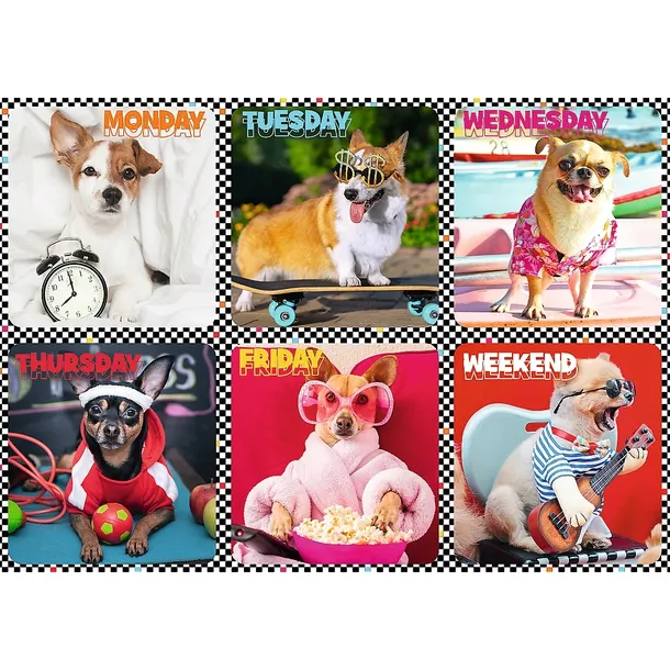 puzzle-200-wesole-psy-13279-trefl-stan-nowy