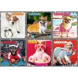 puzzle-200-wesole-psy-13279-trefl-stan-nowy