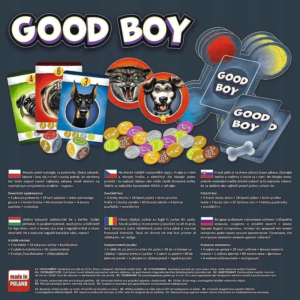 gra-good-boy-dobry-chlopak-trefl