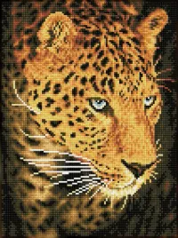 diamond-dots-adults-leopard-portrait-haft-diamentowy