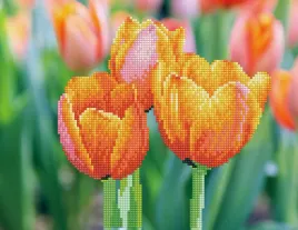 diamond-dotz-adults-love-tulips-haft-diamentowy-tulipany
